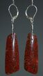 Red Agatized Dinosaur Bone Earrings #5252-4
